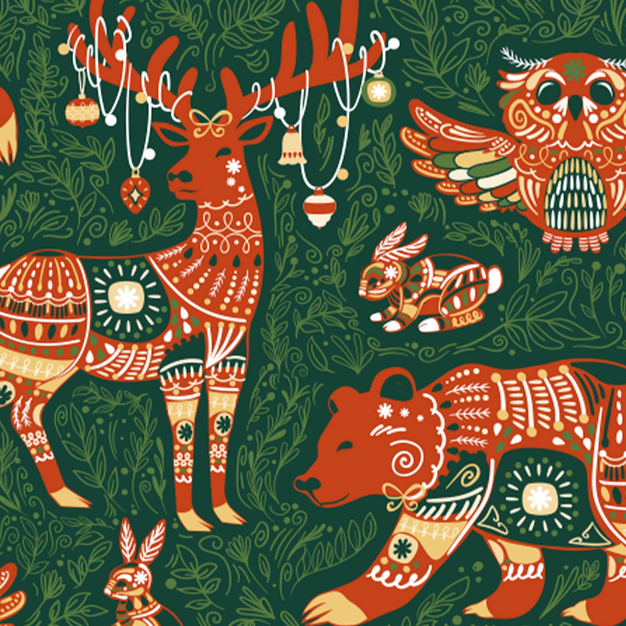 Clairefontaine Excellia 80g 50x0,70m Forest Rot Grün 202111C