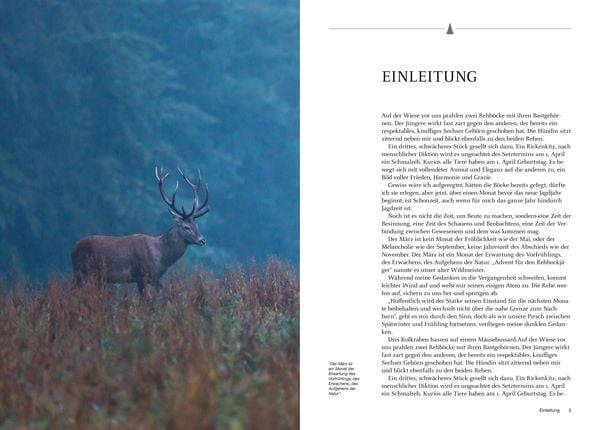 Besondere Jagdmomente