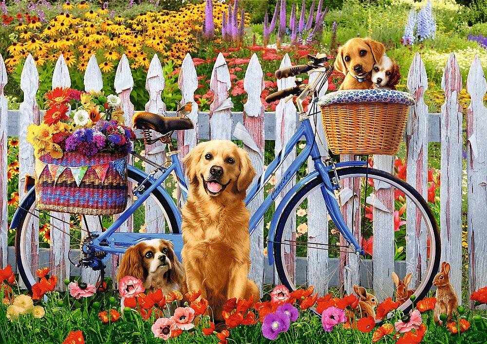 TREFL Puzzle Hund Abenteuer 500 Teile