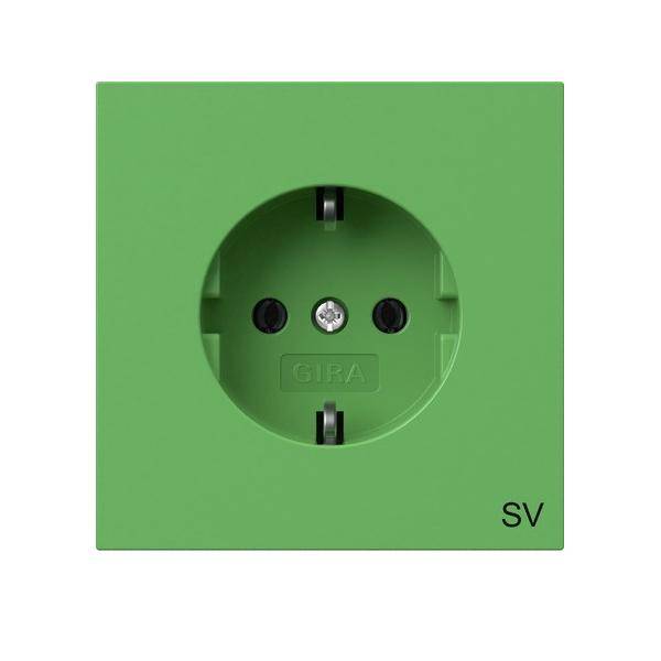 Gira SCHUKO-Steckdose gn 4188707