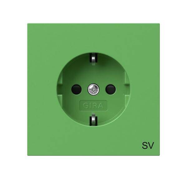 Gira SCHUKO-Steckdose gn 4453707