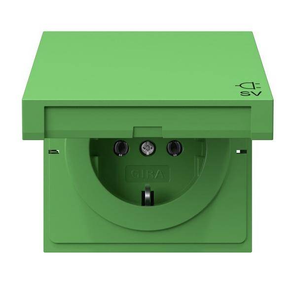 Gira SCHUKO-Steckdose gn 4454707