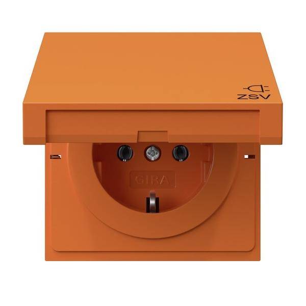 Gira SCHUKO-Steckdose or 4454709