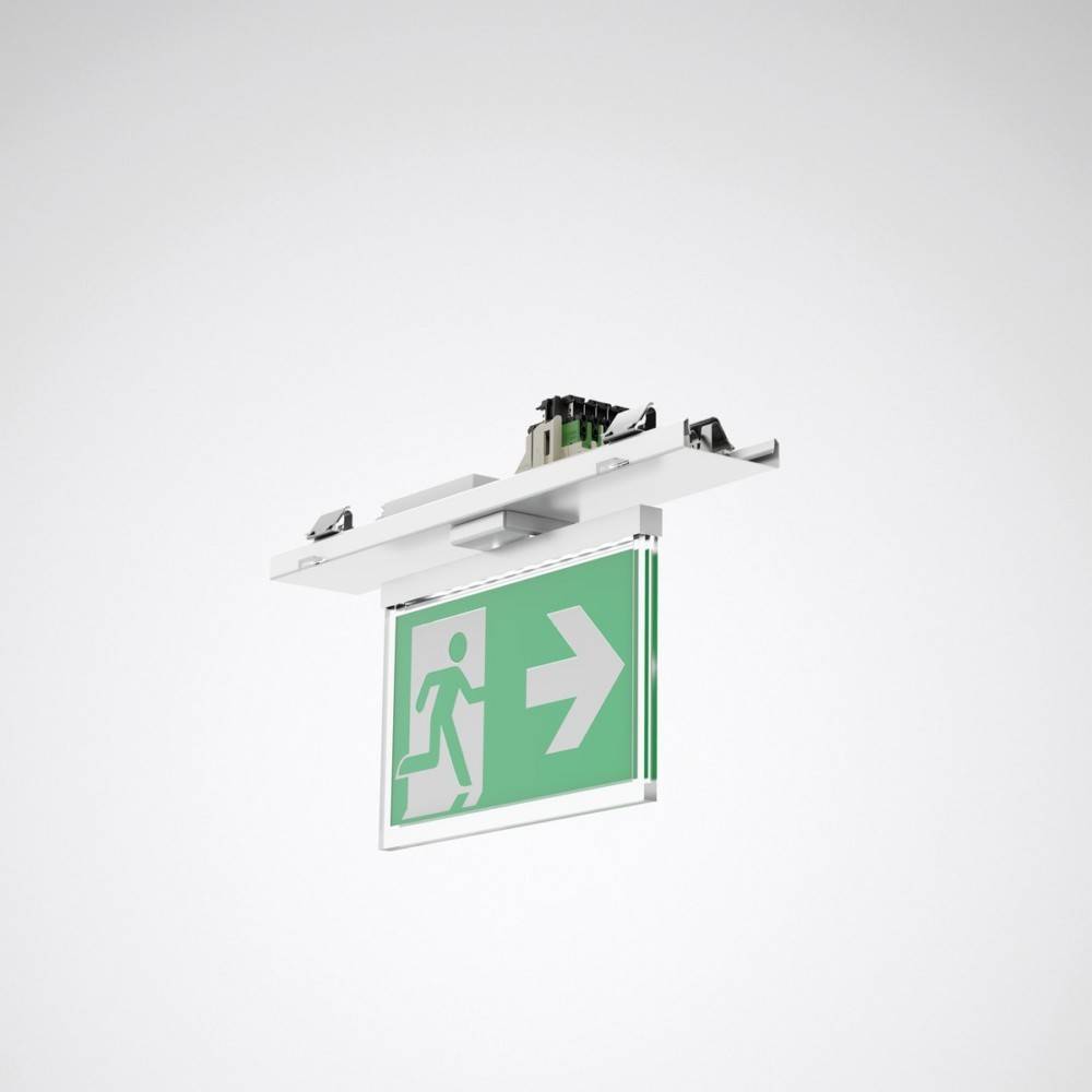 Ein grünes Notausgangsschild mit einem weißen Pfeil, der nach rechts zeigt, und einer laufenden Figur, angebracht unterhalb einer Lichtarmatur, vor einem einfarbigen Hintergrund.