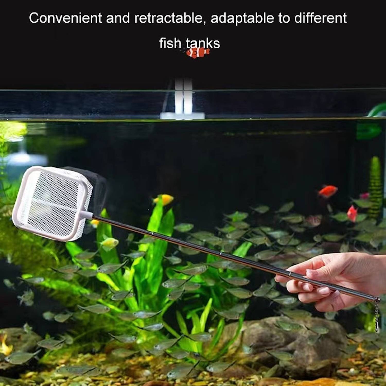 3D Fischernetz für Aquarium Edelstahl ausziehbar für Fische Weiß
