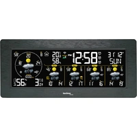TECHNOLINE WLAN-Wetterstation WD3050, schwarz TECHNOLINE WLAN-Wetterstation WD3050, schwarz