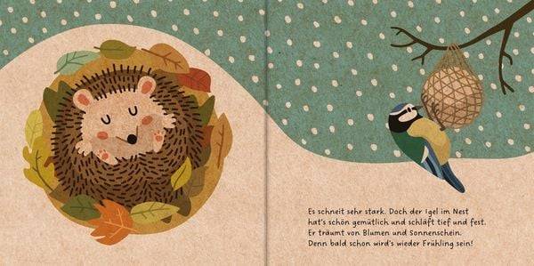 Meine Gartenfreunde. Der kleine Igel