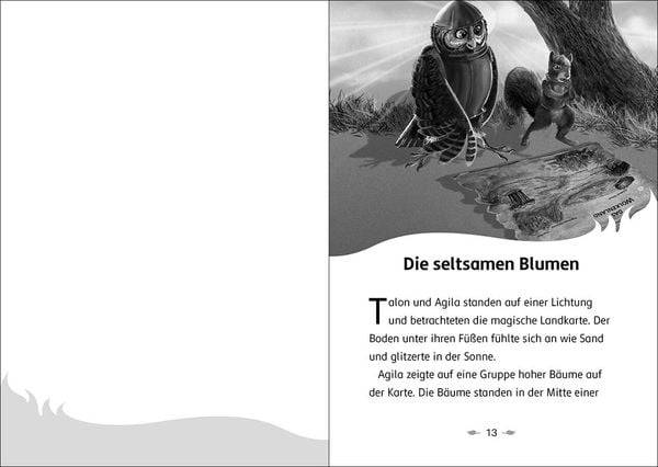 Der letzte Feuerfalke und das Silbermoor (Band 8)