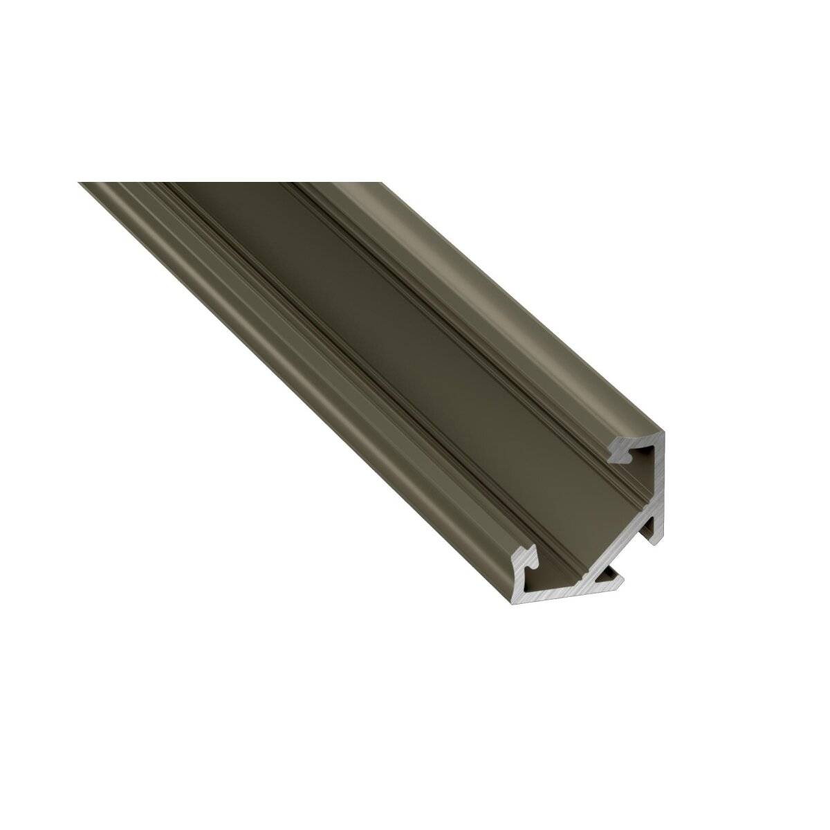LED Aluminium Profil Leiste Inox | Typ C Neigungswinkel 45° | Mit Endkappe und Halterung | Transparent Abdeckung | 1m