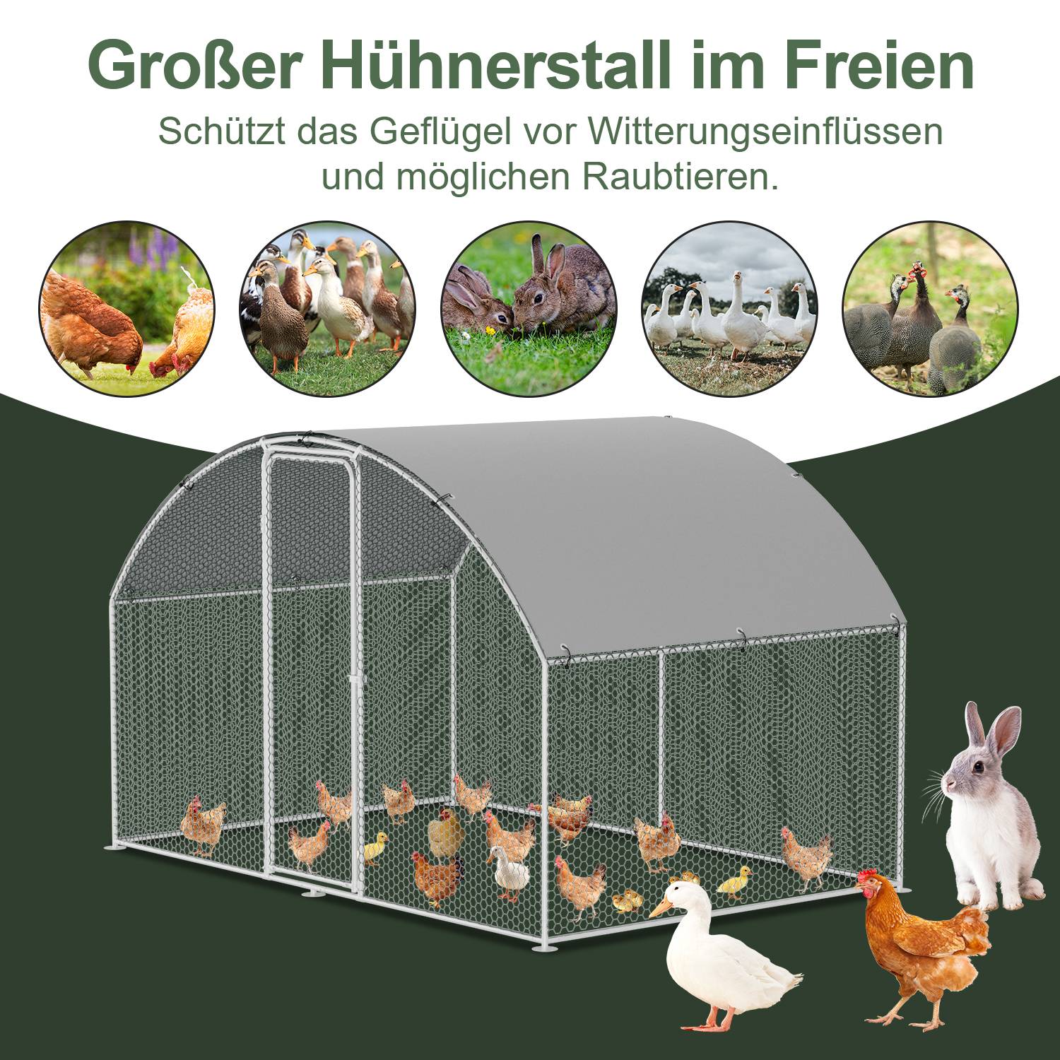 Freilaufgehege – Hühnerstall Kuppeldach aus Metall begehbar, Tür & Riegel – Freigehege für Hühner, Kleintiere & Pflanzen - 3x2x2m mit 6 m² La