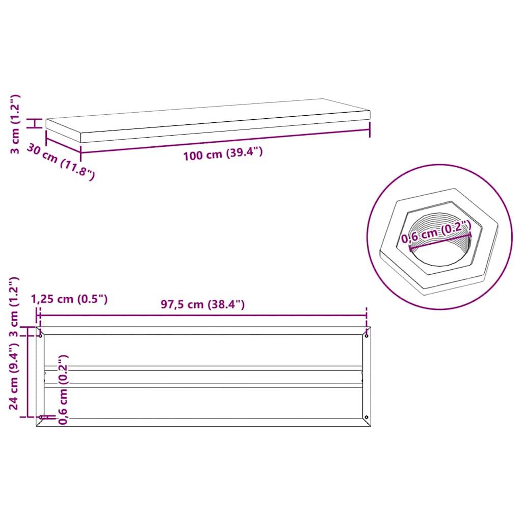 vidaXL Wandregale 2 Stk. 100x30x3 cm Silbern Edelstahl