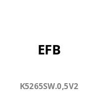 Schwarzer Text „EFB