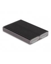 Delock Externes USB Type-C Dual Combo Gehäuse für 2 x M.2 NVMe PCIe oder SATA SSD