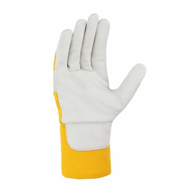 1121 texxor Winterbauhandschuh Rindvollleder Himalaya II Leder 120 Paar Gr. 8