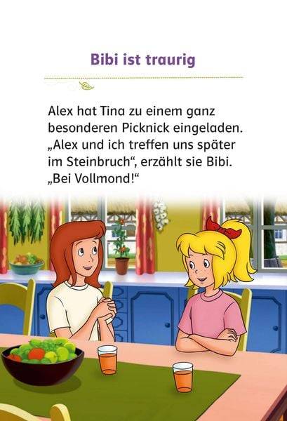 Bibi & Tina: Picknick bei Vollmond