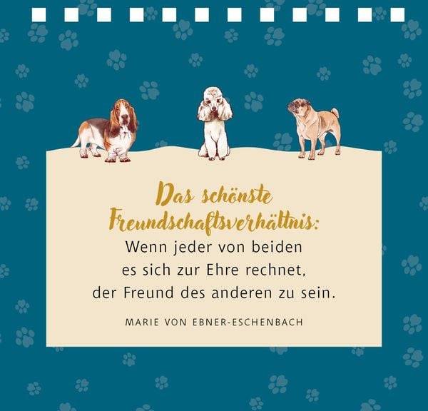 Kl. Spiralaufstellbuch: Tierisch beste Freunde (cats & dogs)