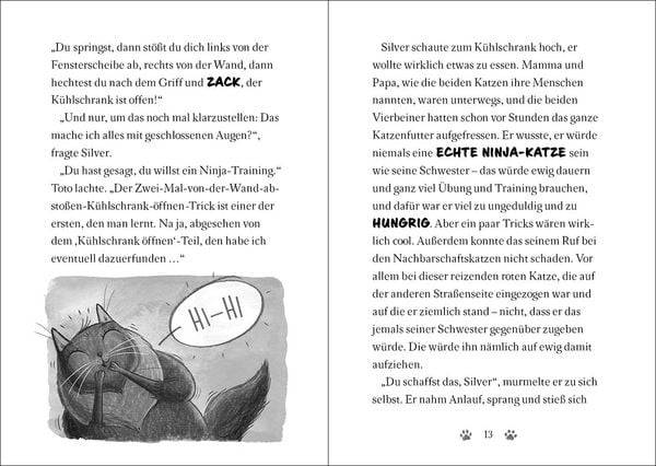 Ninja Cat (Band 2) - Meisterdieb auf der Flucht!