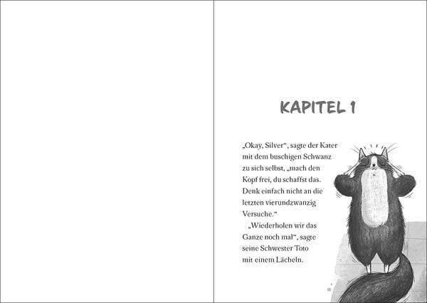 Ninja Cat (Band 2) - Meisterdieb auf der Flucht!