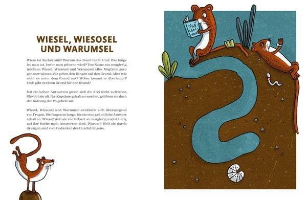 Von Schildflöten, Herdmännchen und Großmaulnashörnern.