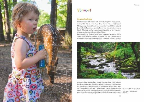 Minis auf Tour im Schwarzwald