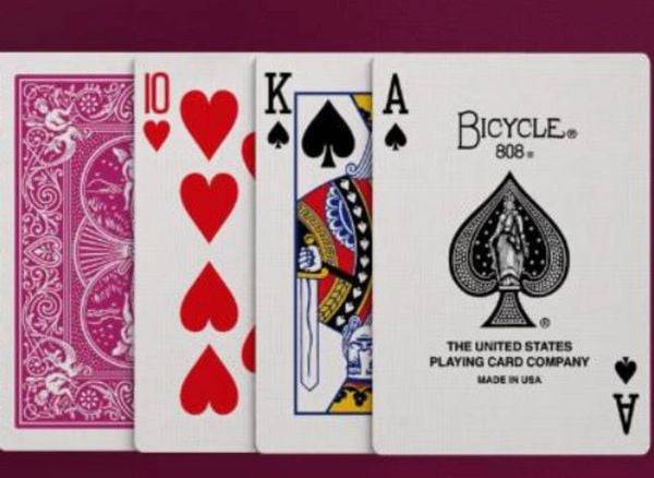 Bicycle Color Series Berry