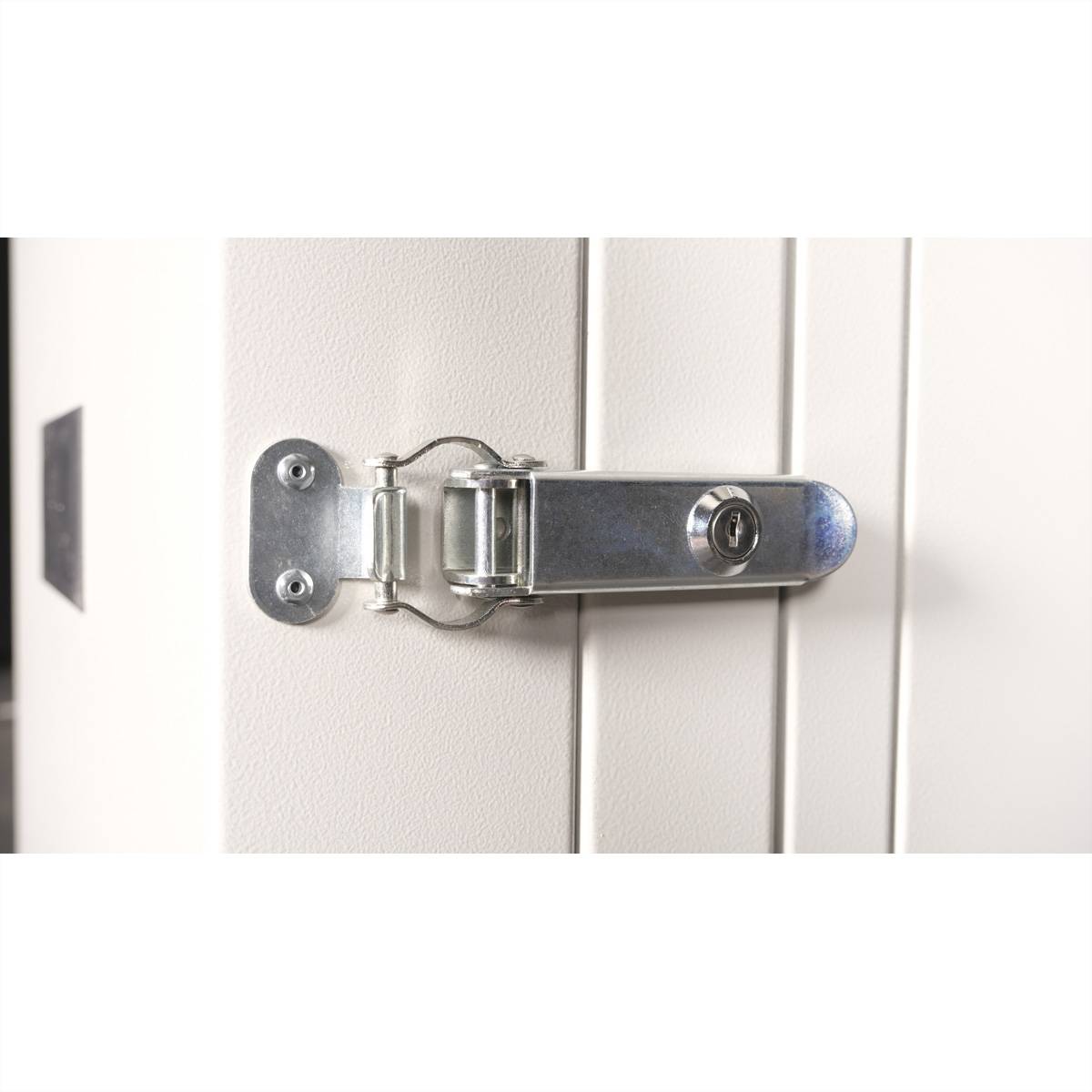 ROLINE 19-Zoll Wandgehäuse Pro 20 HE, 600x600 BxT zweiteilig schwenkbar grau