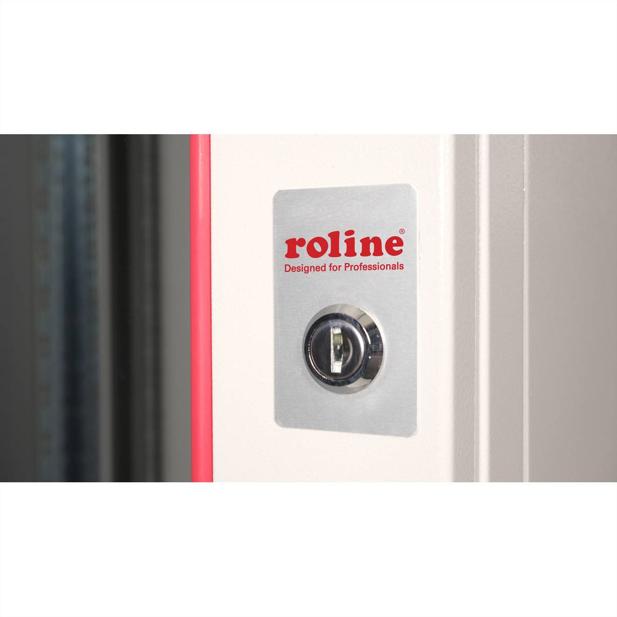 ROLINE 19-Zoll Wandgehäuse Pro 20 HE, 600x600 BxT zweiteilig schwenkbar grau