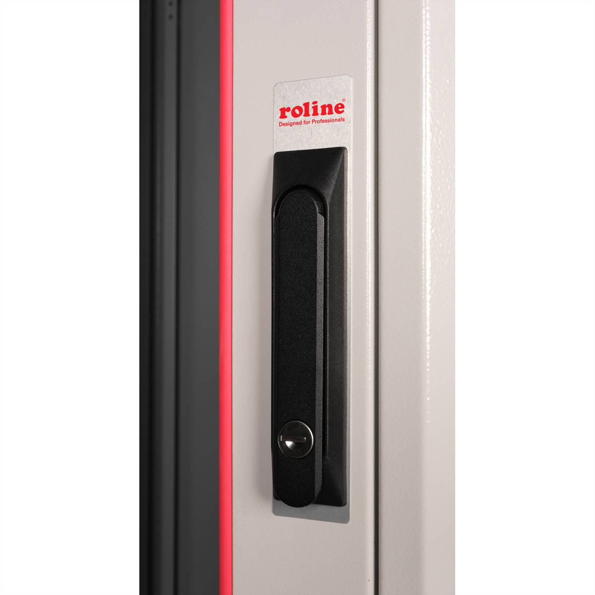 Roline Pro - Schrank Netzwerkschrank - Hellgrau, RAL 7035 - 22U - 48.3 cm (19"")