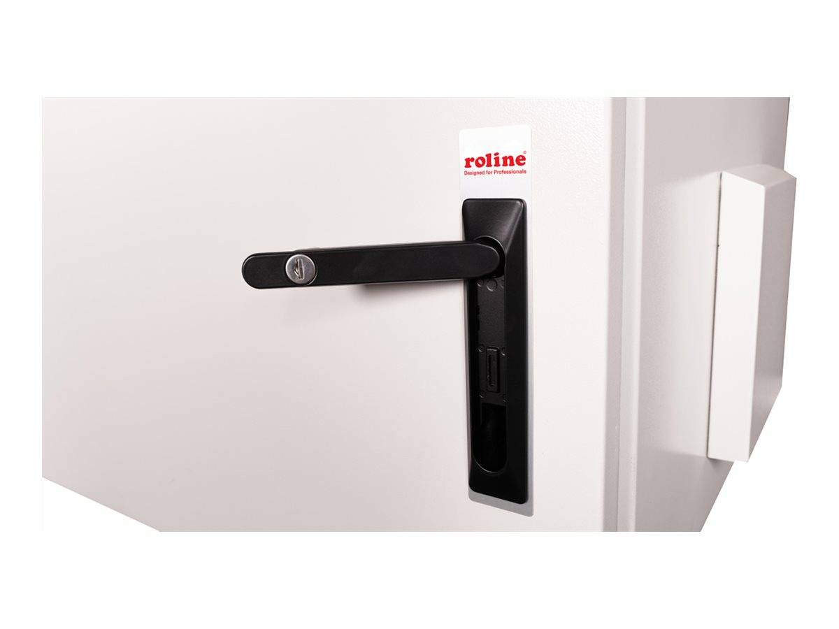ROTRONIC-SECOMP - Roline Pro - Schrank Netzwerkschrank - außen, 600 x 600 mm (B x T)