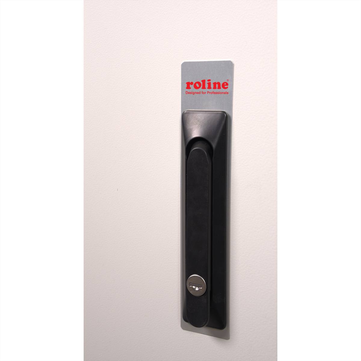 Roline Pro - Schrank Netzwerkschrank - außen, 600 x 450 mm (B x T)
