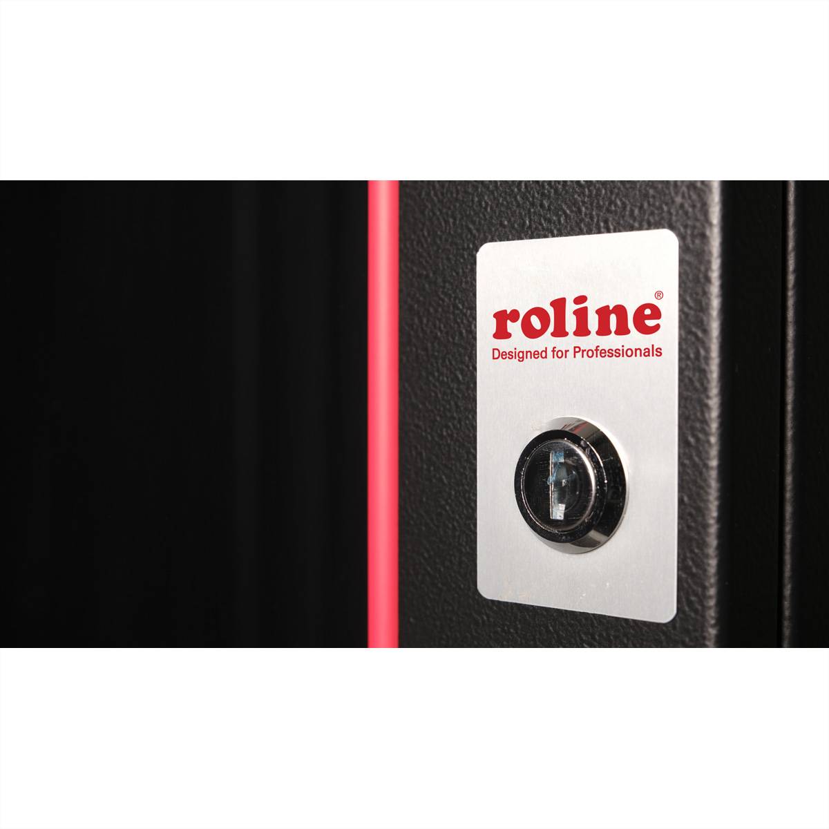 ROLINE 19-Zoll Wandgehäuse Pro 9 HE, 600x450 BxT schwarz