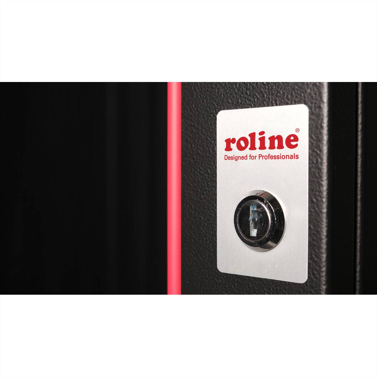 ROLINE 19-Zoll Wandgehäuse Pro 16 HE, 600x450 BxT schwarz