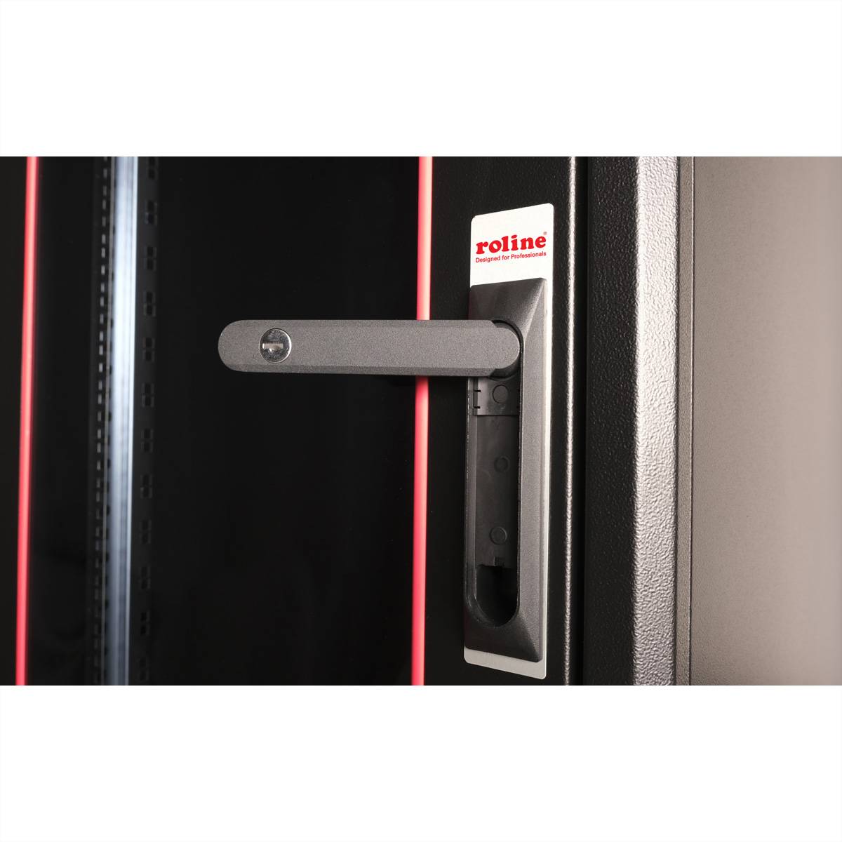 Roline Basic - Schrank Netzwerkschrank - Glas Tür, 600x800 BxT - RAL 9005, Jet Black - 22U - 48.3 cm (19"")