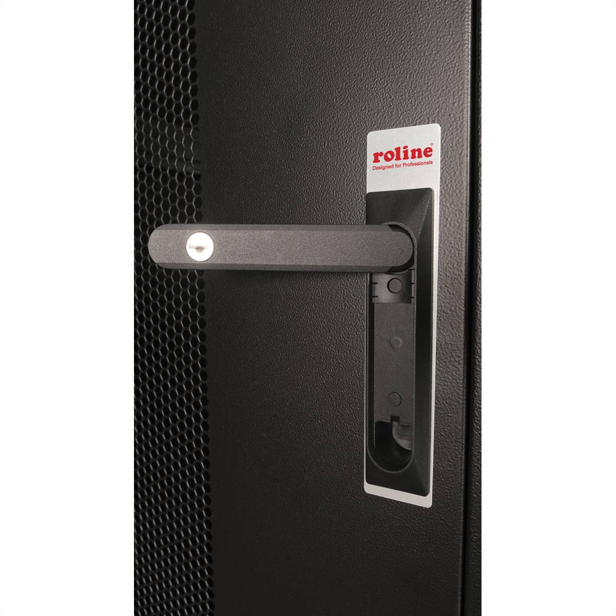 Roline Basic - Schrank Netzwerkschrank - perforierte Tür, 800x1000 BxT - RAL 9005, Jet Black - 42HE - 48.3 cm (19"")