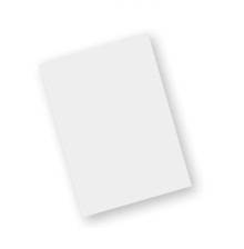 Zebra - Schutzfolie - für Zebra TC70X, TC72, TC75X