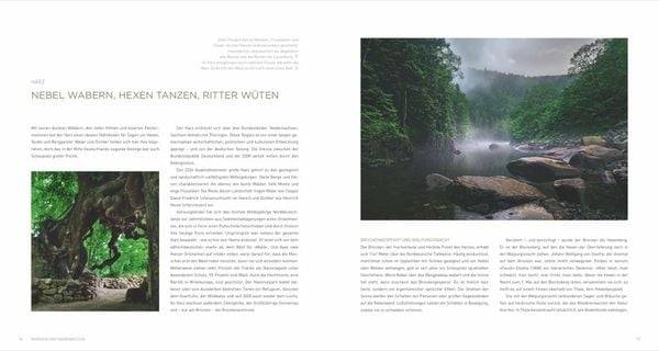 Deutschland deine Wälder