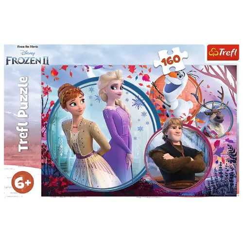 Frozen Puzzle 160 Pieces Lustiges Design mit Elsa und Anna für Kinder Frozen Puzzle 160 Pieces Lustiges Design mit Elsa und Anna für Kinder