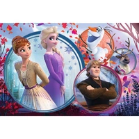 Frozen Puzzle 160 Pieces Lustiges Design mit Elsa und Anna für Kinder Frozen Puzzle 160 Pieces Lustiges Design mit Elsa und Anna für Kinder