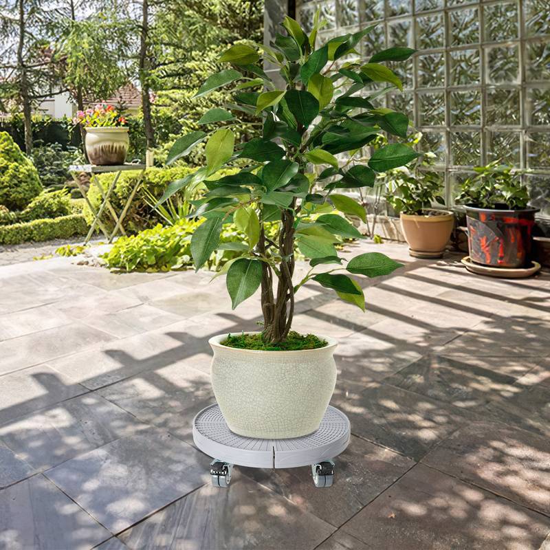 Pflanzenroller Blumenroller Untersetzer Mobiler Rollbrett Grau