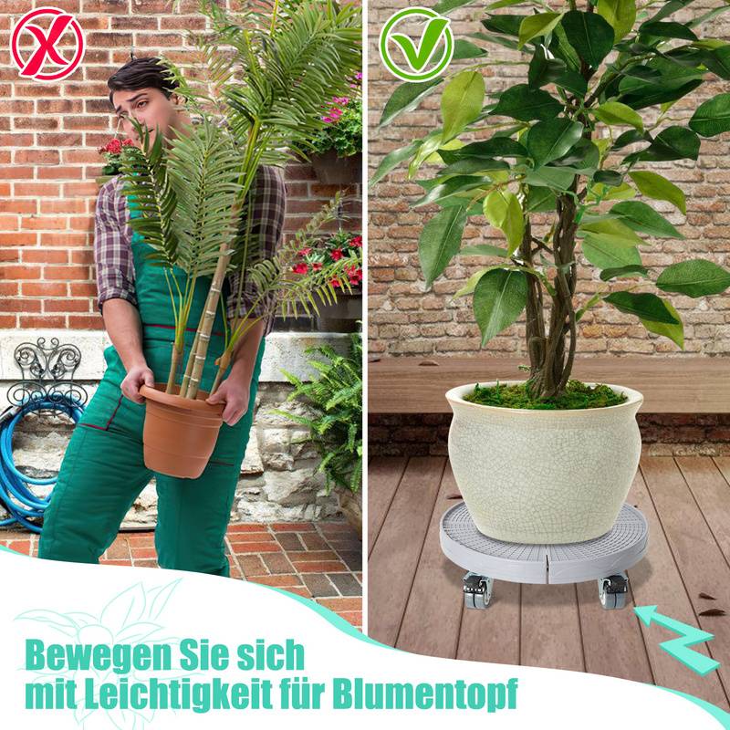 Pflanzenroller Blumenroller Untersetzer Mobiler Grau