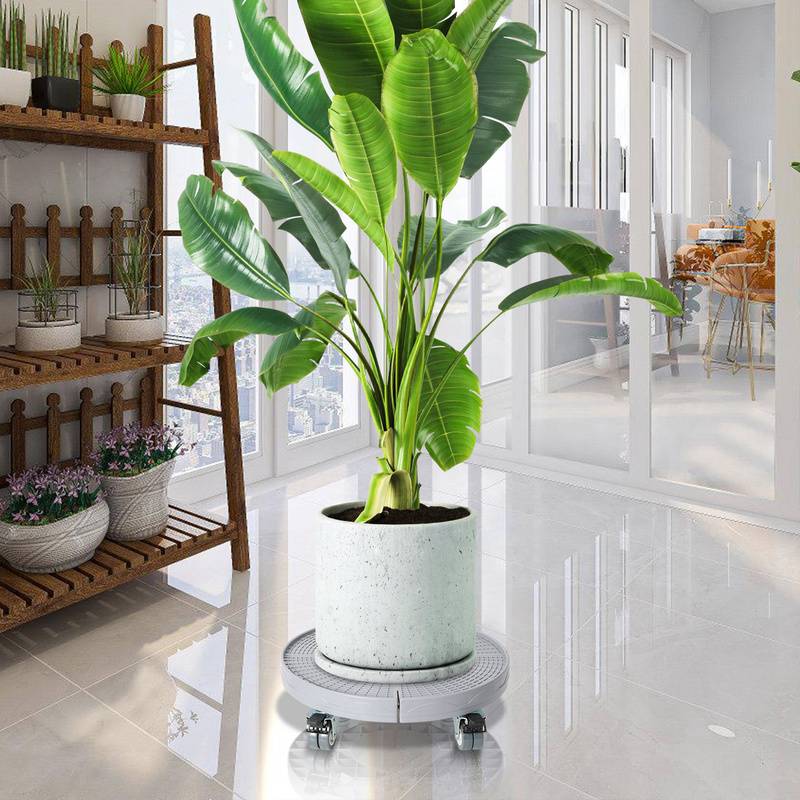 Pflanzenroller Blumenroller Untersetzer Mobiler Grau