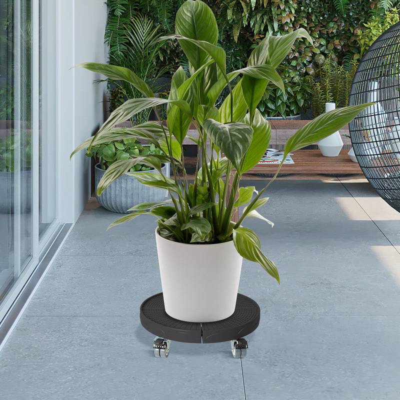 Pflanzenroller Blumenroller Untersetzer Mobiler Rollbrett bis ca. 200kg Schwarz