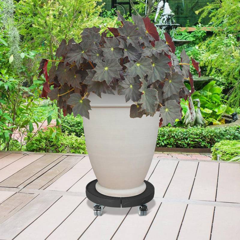 Pflanzenroller Blumenroller Untersetzer Mobiler Rollbrett bis ca. 200kg Schwarz