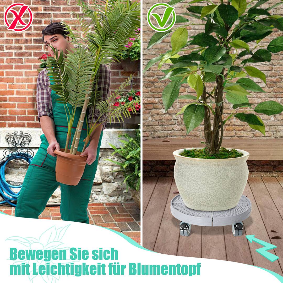 Geteiltes Bild zum Vergleich von Topfgrößen: Links ist eine Person zu sehen, die versucht, einen zu großen Topf mit Pflanze zu tragen, was mit "falsch"" gekennzeichnet ist; rechts zeigt sich eine Pflanze in einem Topf mit Rädern, was mit ""richtig"" gekennzeichnet ist.