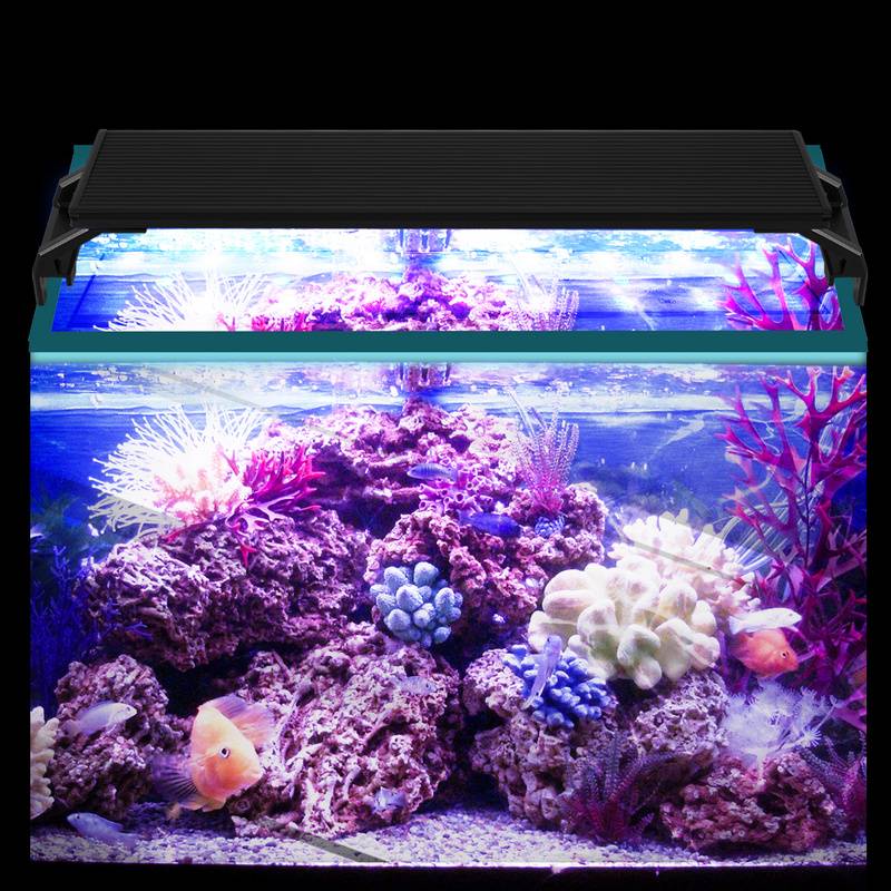 LED Aquarium Lampe 3 Lichtmodi Tank Leuchte Versenkbare Aquarien Beleuchtung mit Timer,35-50cm,10W