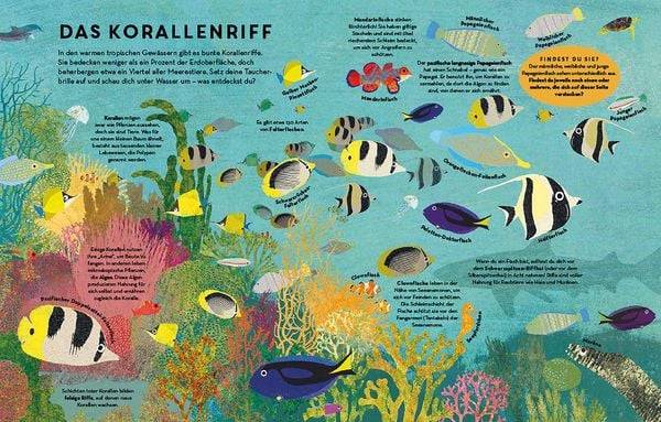 Fische, Fische überall