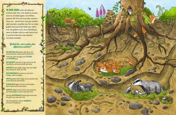 Das große Wald-Wimmelbuch