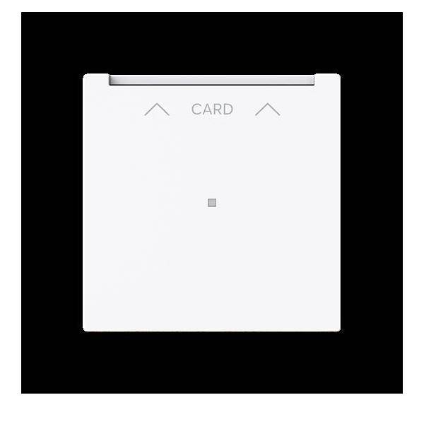 Busch-Jaeger Zentralscheibe 1792 U-44G