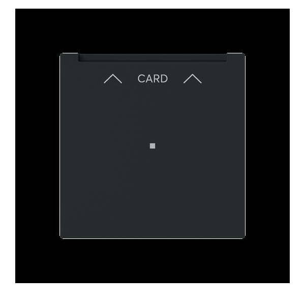 Busch-Jaeger Zentralscheibe 1792 U-45M