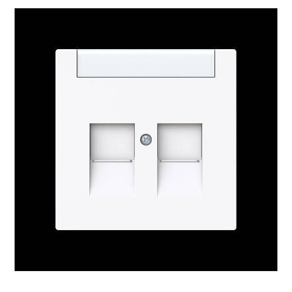 Busch-Jaeger Zentralscheibe 2-fach mit 1800-44G